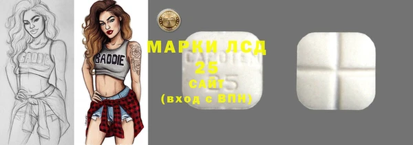 ГАЛЛЮЦИНОГЕННЫЕ ГРИБЫ Верея