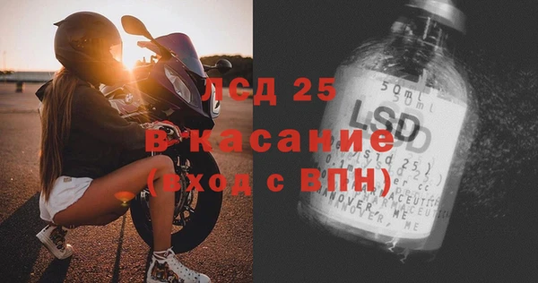 ГАЛЛЮЦИНОГЕННЫЕ ГРИБЫ Верея