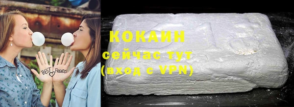 ГАЛЛЮЦИНОГЕННЫЕ ГРИБЫ Верея